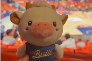香港金牛队当家球星“La Bull Bull”将体验CBA总决赛的强度与氛围